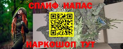 гидра Рыбинск